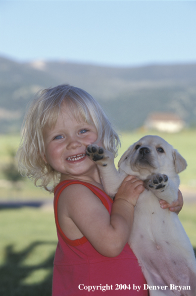 Child with yellow Labrador Retriever puppy