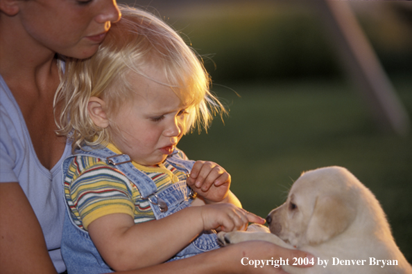 Woman and child with yellow Labrador Retriever puppy
