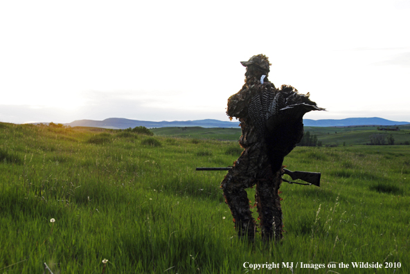 Turkey Hunter in Field