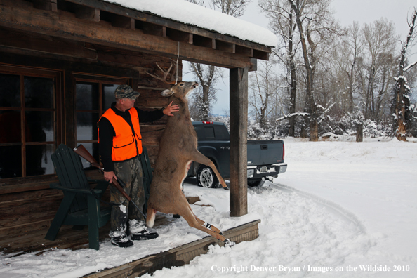 White-tailed deer hunter stands with buck hanging from cabin.