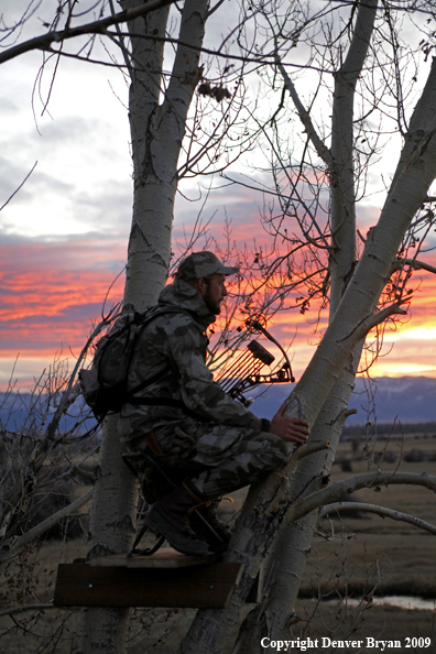 Bowhunter sitting in tree stand.