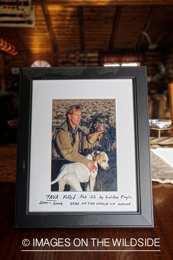 Decor in falconer's cabin.