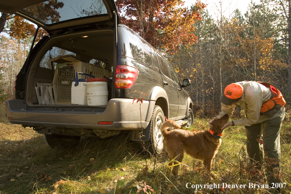 Upland game bird hunter with golden retriever