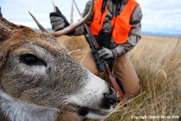 Hunter with Whitetail Deer