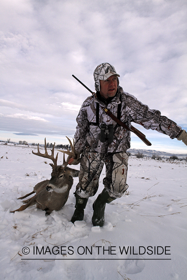 Hunter dragging bagged white-tailed deer.