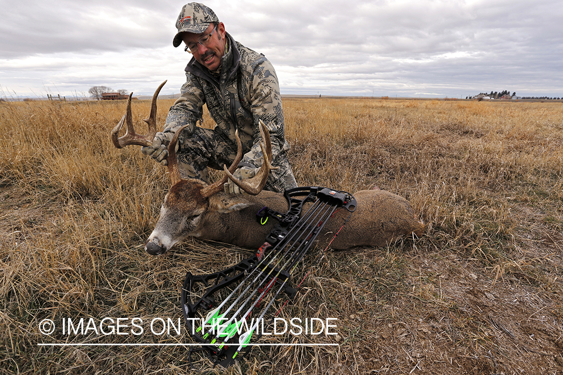 Bowhunter with downed white-tailed buck.