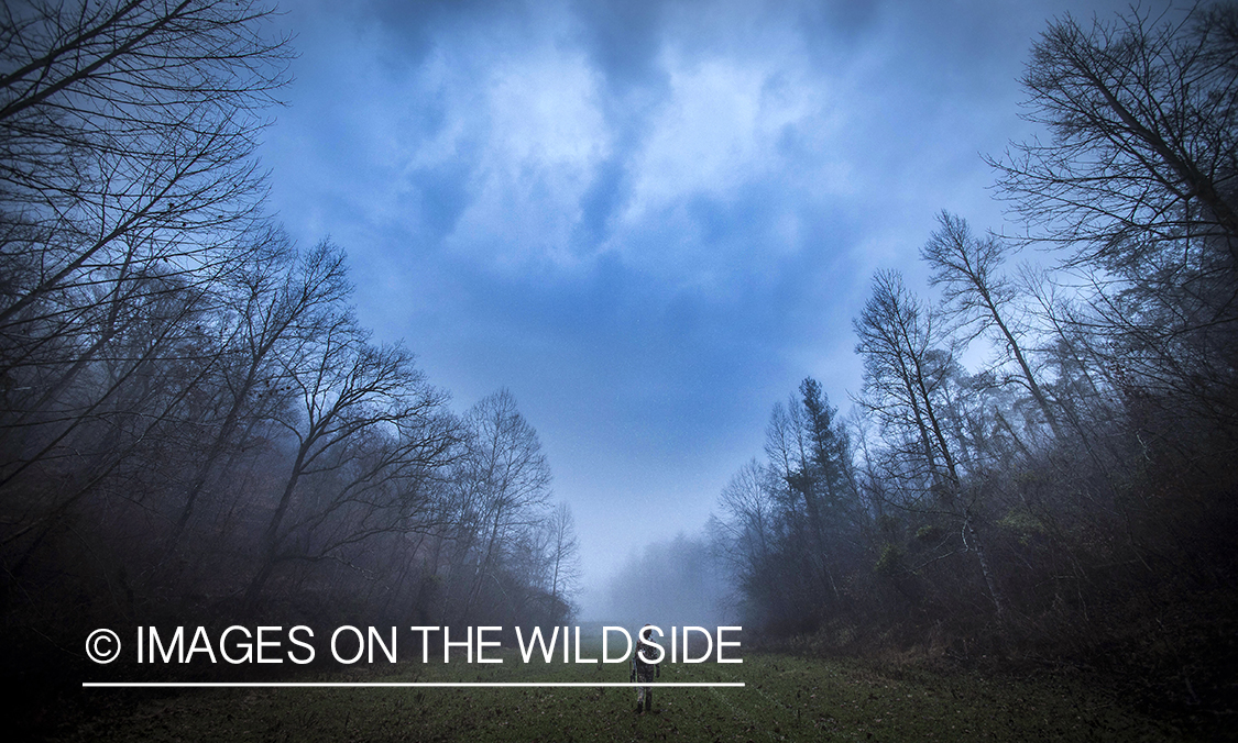 Woman bowhunting in fall forest.