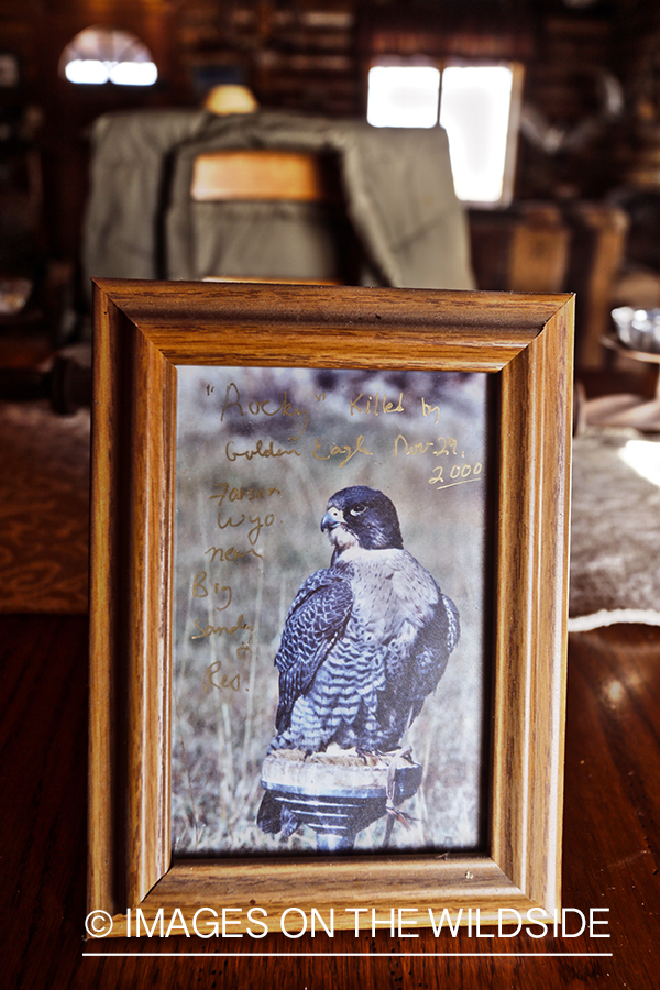 Decor in falconer's cabin.