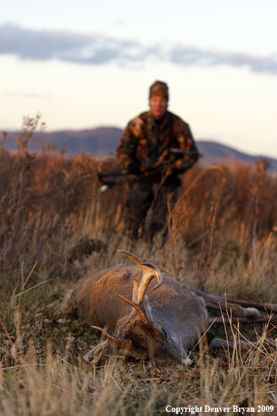 Bowhunter approaching whitetail buck kill.