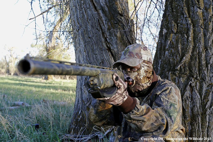 Turkey hunter aiming in field.