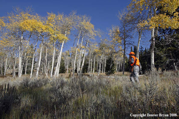 Rifle hunter scouting for big game