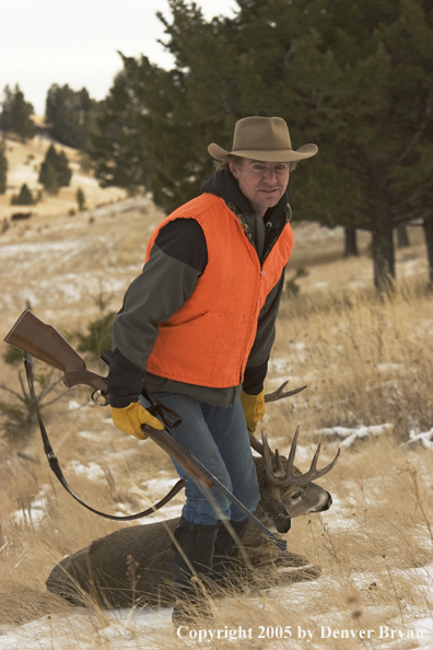 Deer hunter dragging bagged white-tailed buck.