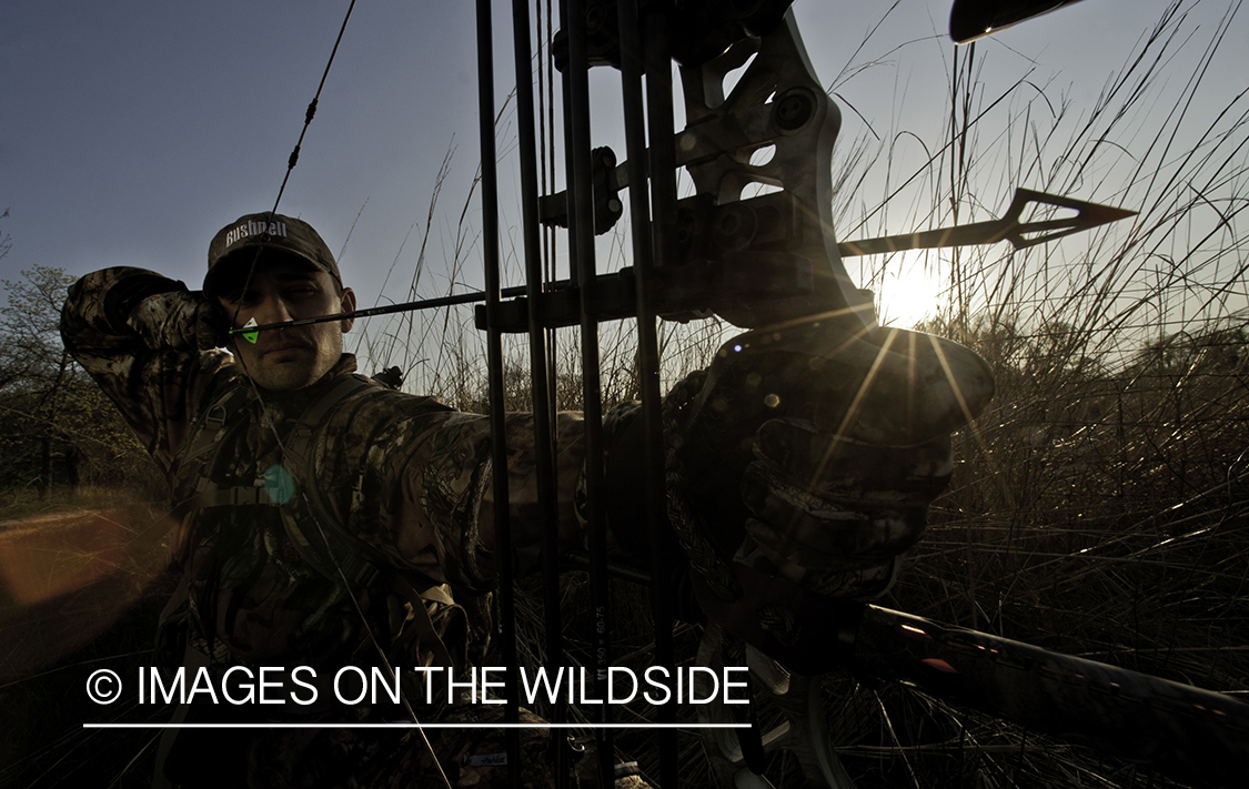 Bowhunter taking aim in field. 