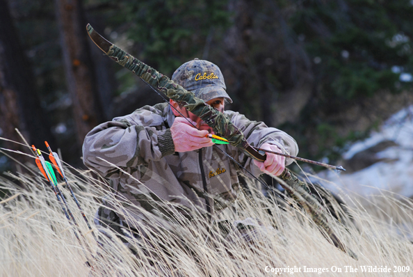Bowhunter in Field