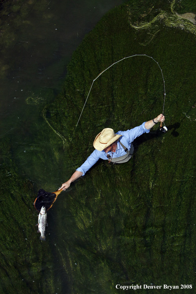 Flyfisherman fishing warm springs