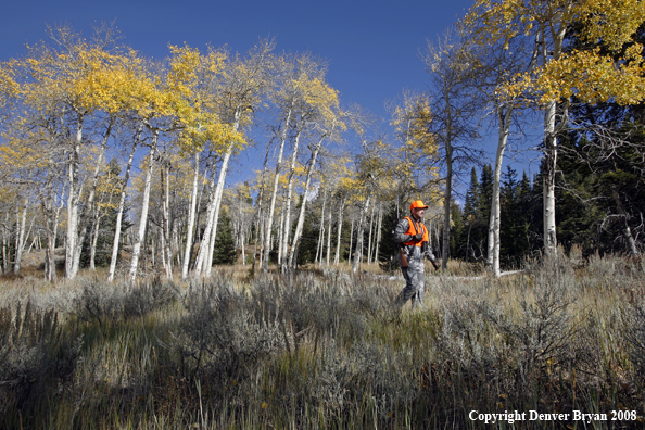 Rifle hunter scouting for big game