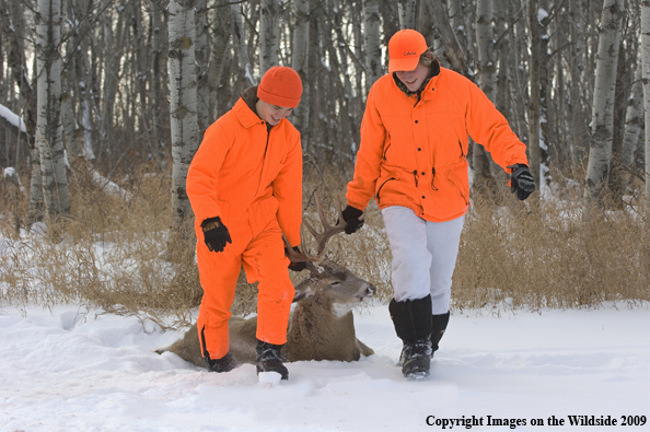 Hunters Dragging Bagged Deer