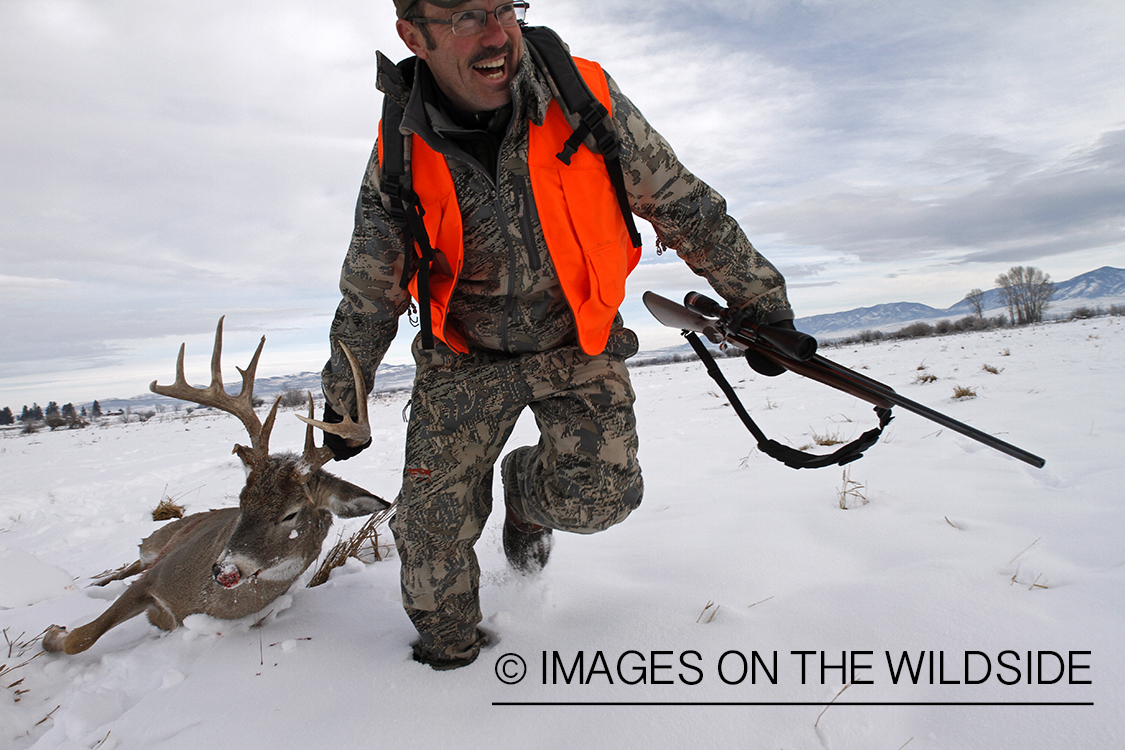 Hunter dragging bagged white-tailed deer.