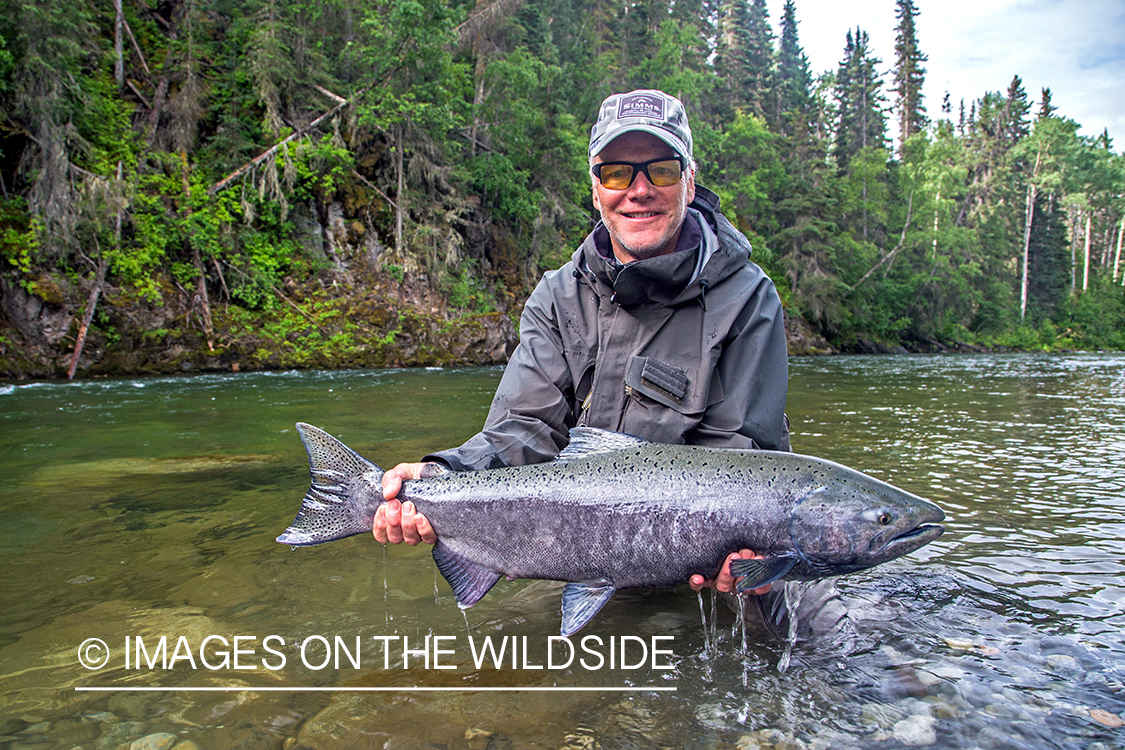 Flyfisherman with king salmon on Nakina River, British Columbia.