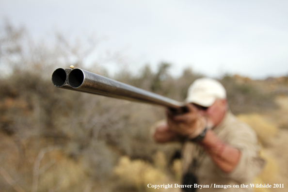 Upland game bird hunter hunting desert quail in Arizona.