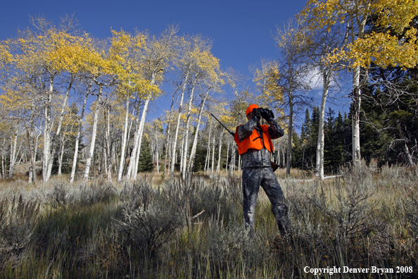 Rifle hunter scouting for big game