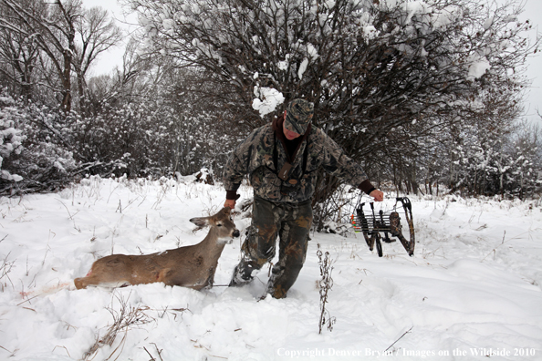 Archery hunter with bagged white-tailed doe. 