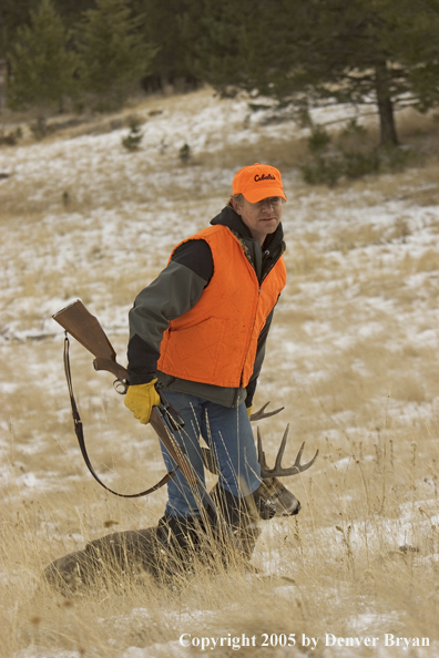 Deer hunter dragging bagged white-tailed buck.