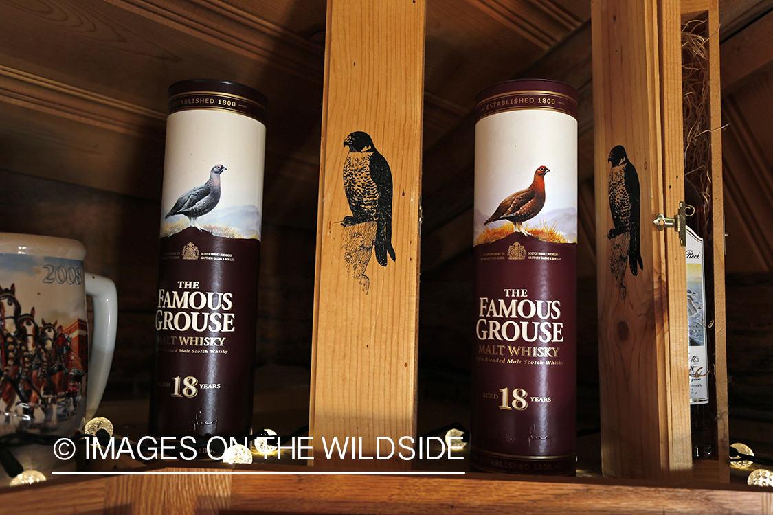 Decor in falconer's cabin.