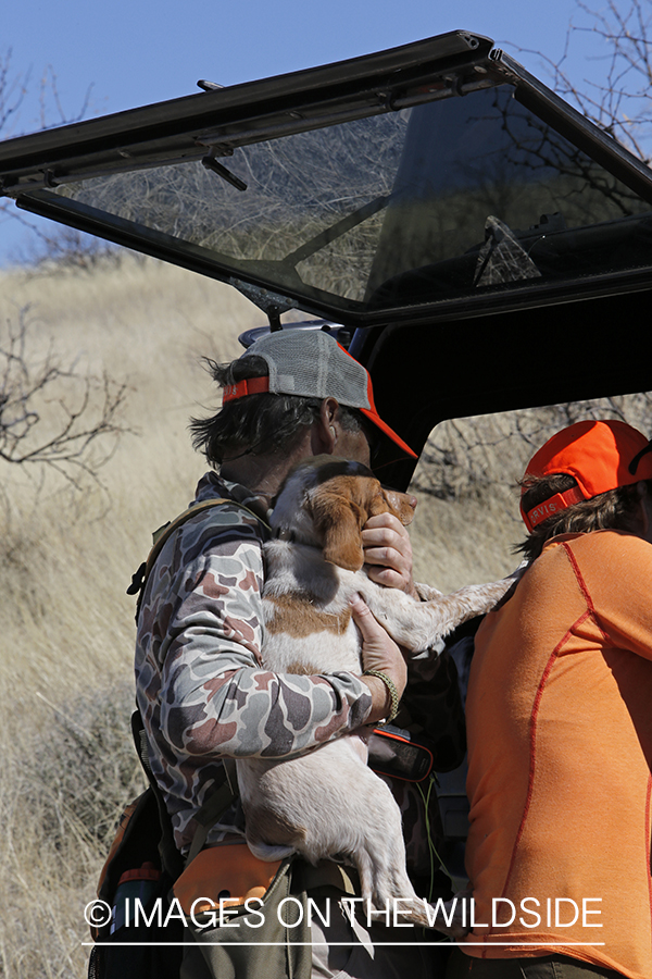 Upland game bird hunter holding dog.