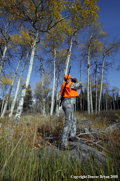 Rifle hunter scouting for big game