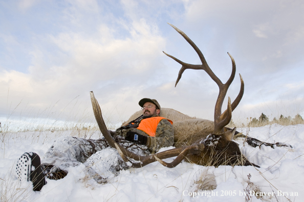 Elk hunter resting on downed elk.