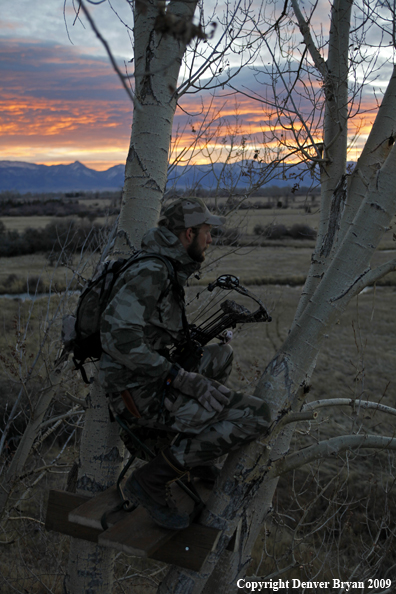 Bowhunter sitting in tree stand.