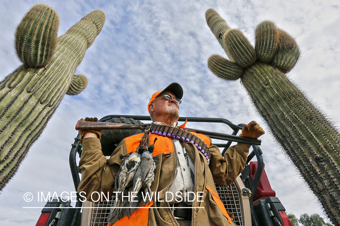 Quail hunter with bagged Gambel's Quails. (HDR)