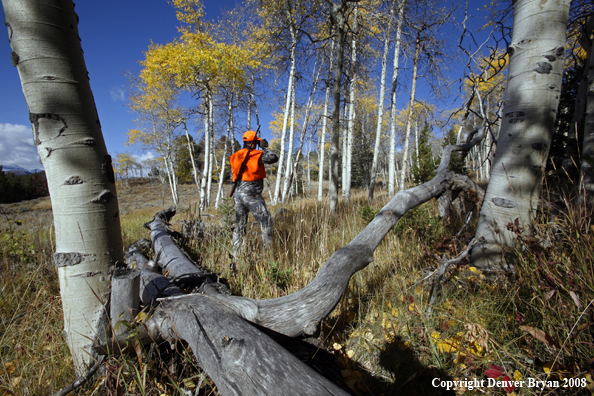 Rifle hunter scouting for big game
