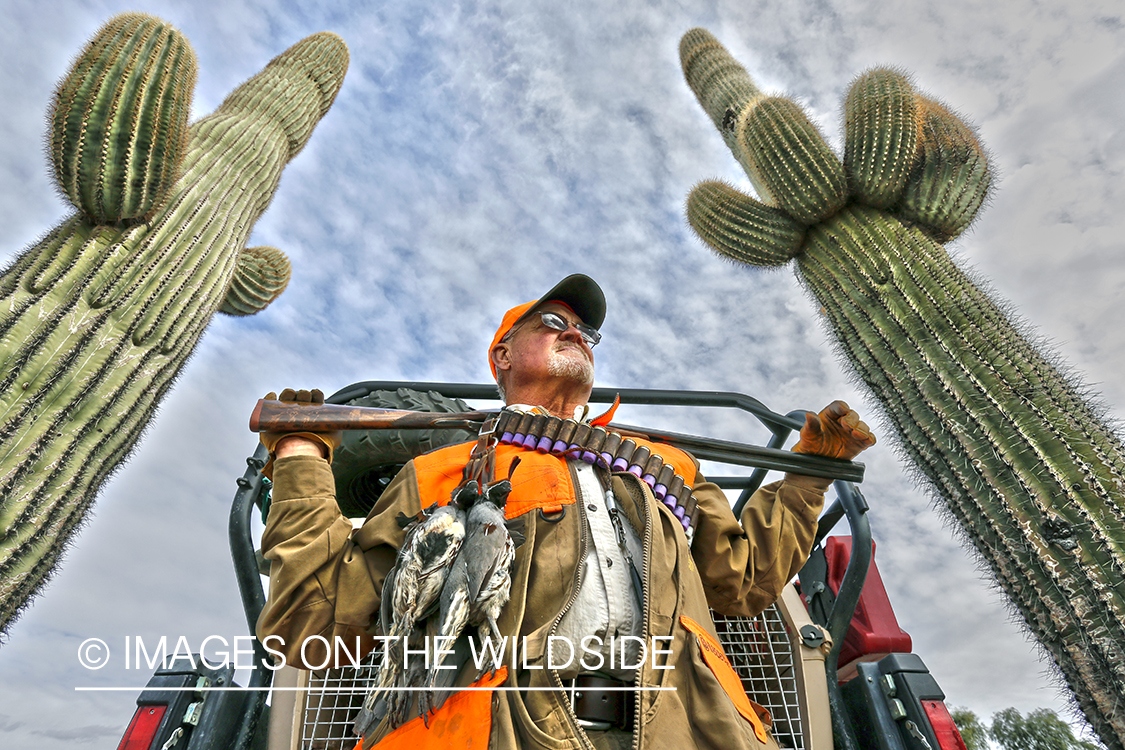 Quail hunter with bagged Gambel's Quails. (HDR)