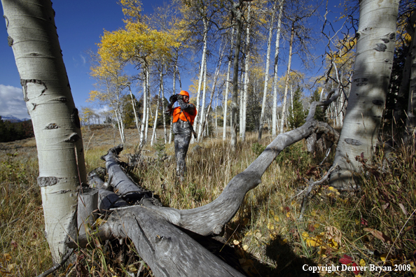 Rifle hunter scouting for big game