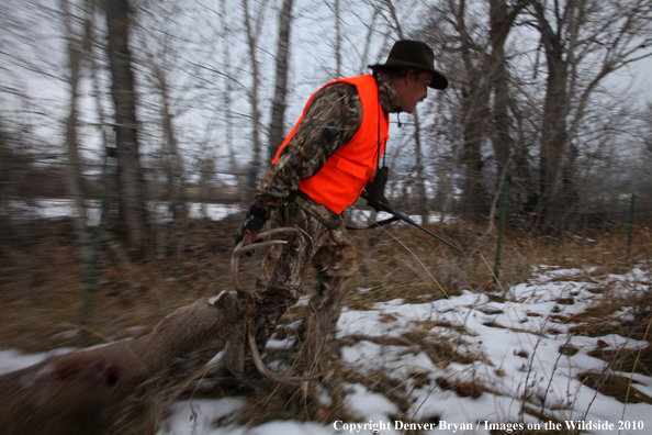 Hunter dragging downed buck. 
