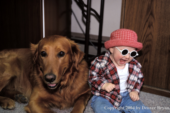 Golden Retriever with baby.