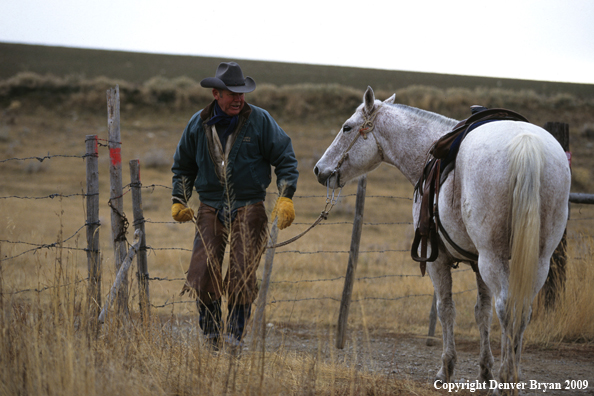 Cowboy with his horse