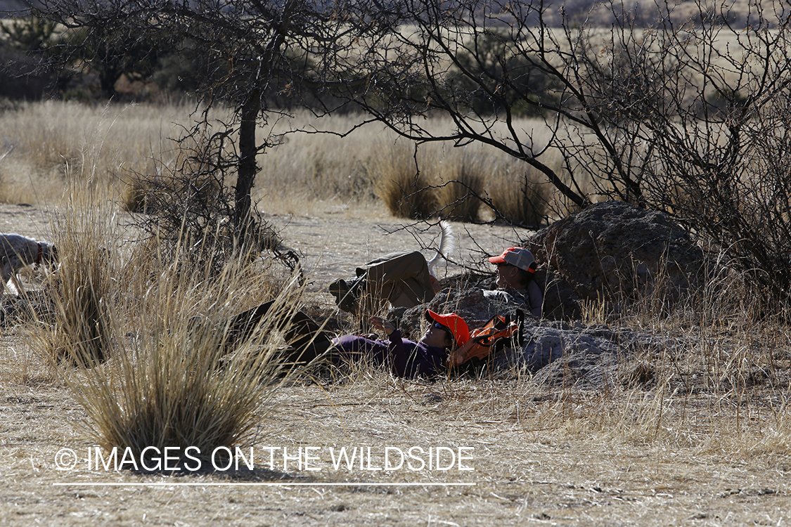 Upland game bird hunters resting against boulders.