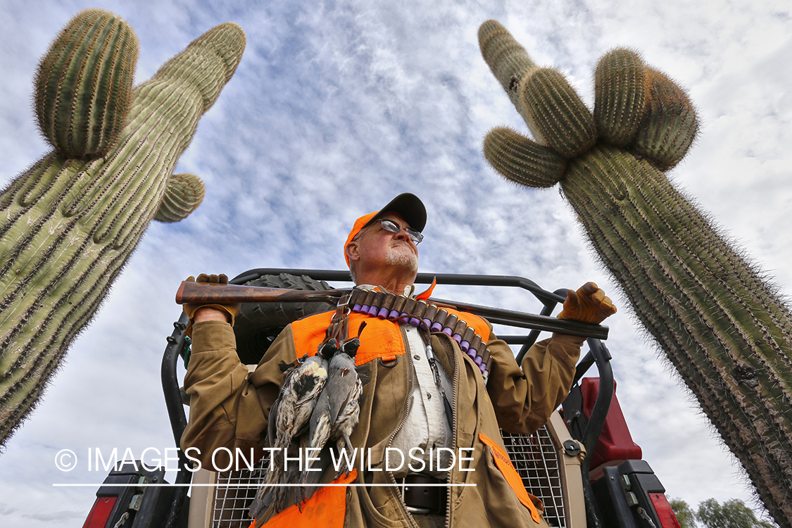 Quail hunter with bagged Gambel's Quails. (HDR)