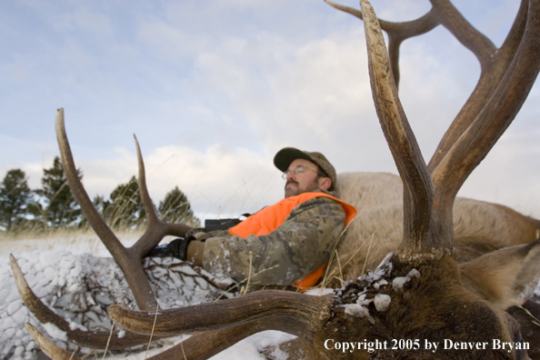 Elk hunter resting upon downed elk.