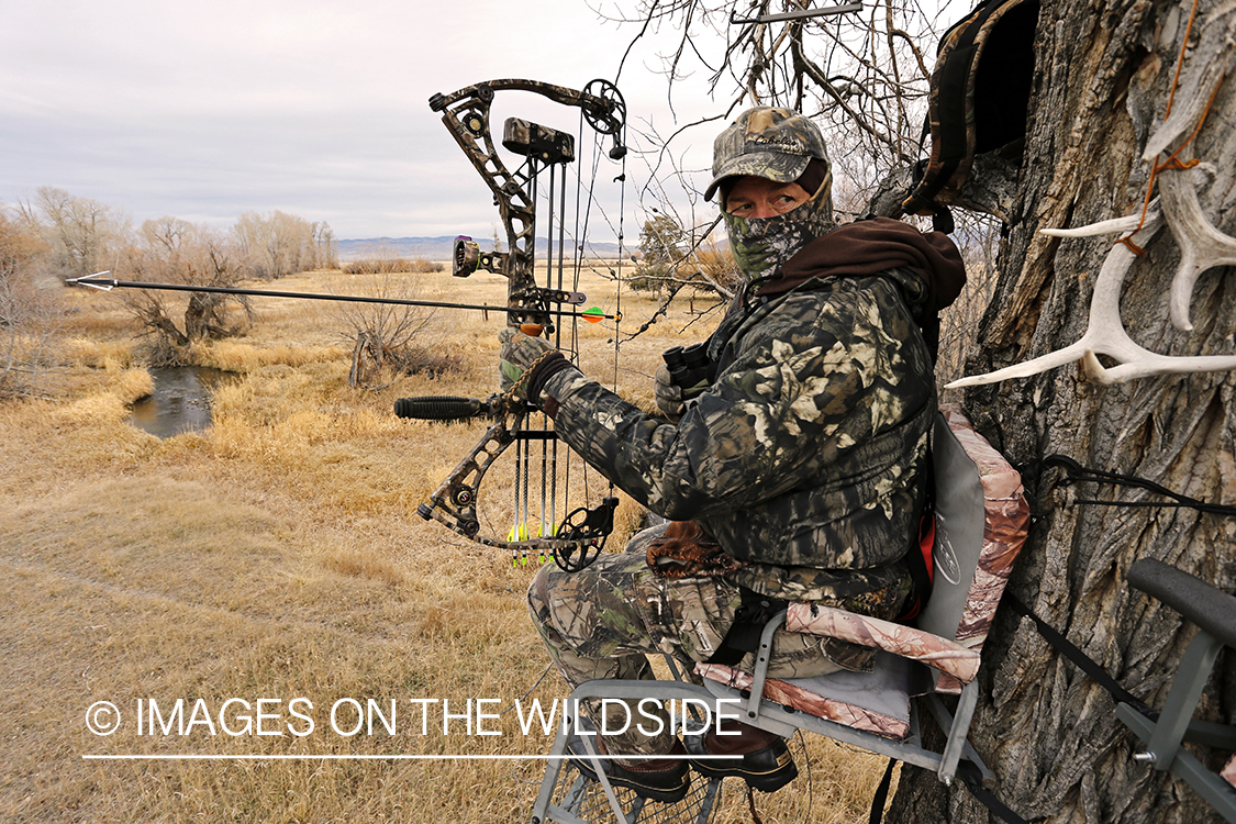 Bowhunter scouting for big game from tree stand. 