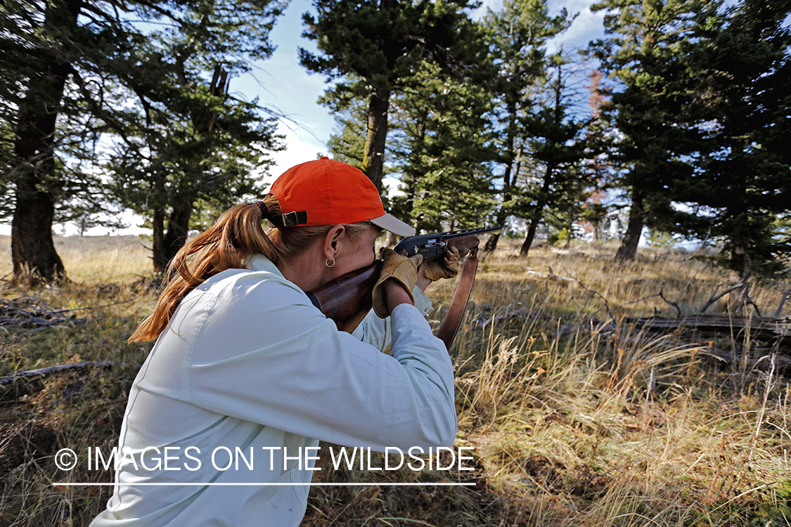 Upland game bird hunter shooting at Dusky (mountain) grouse.