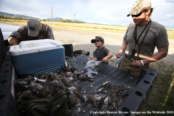 Dove Hunting