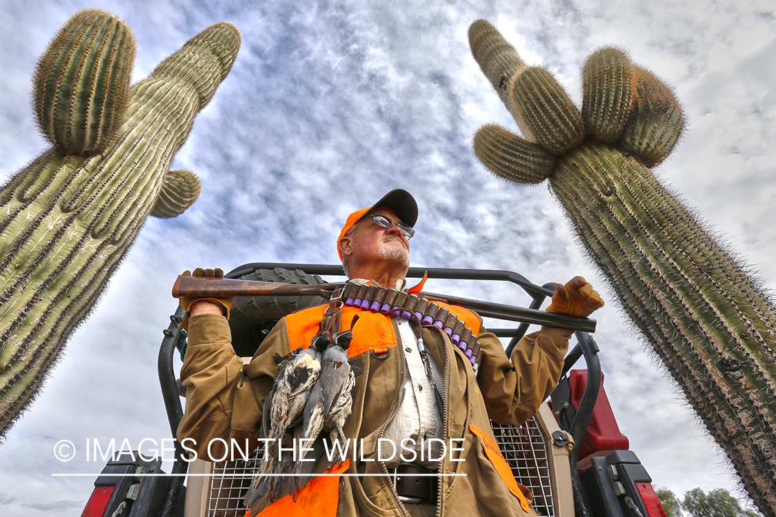 Quail hunter with bagged Gambel's Quails. (HDR)