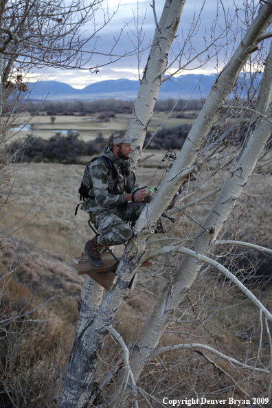 Bowhunter sitting in tree stand.