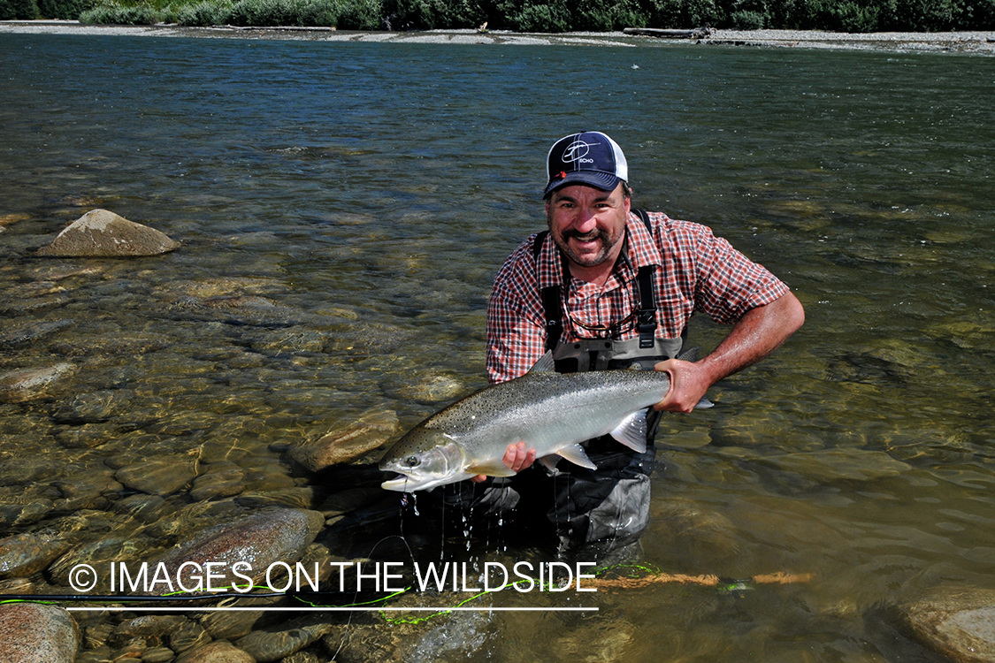 Steelhead flyfisherman with steelhead catch in Canada.