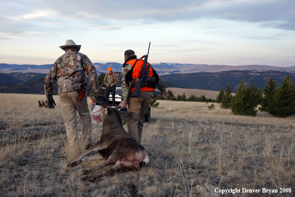 Hunters with Mule Deer