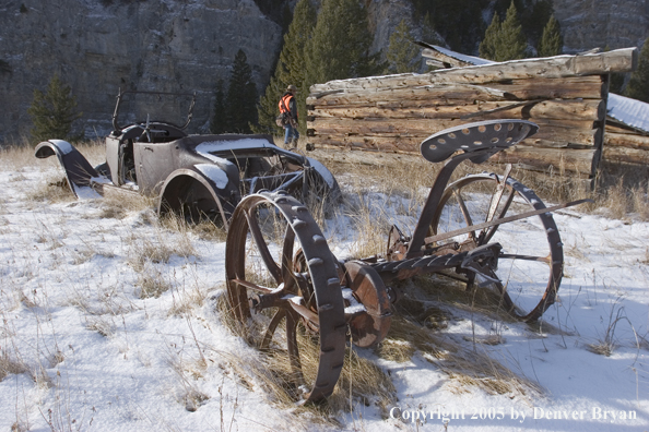 Big game hunter walking past old homestead.